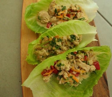 Chicken Coconut Lettuce Wraps